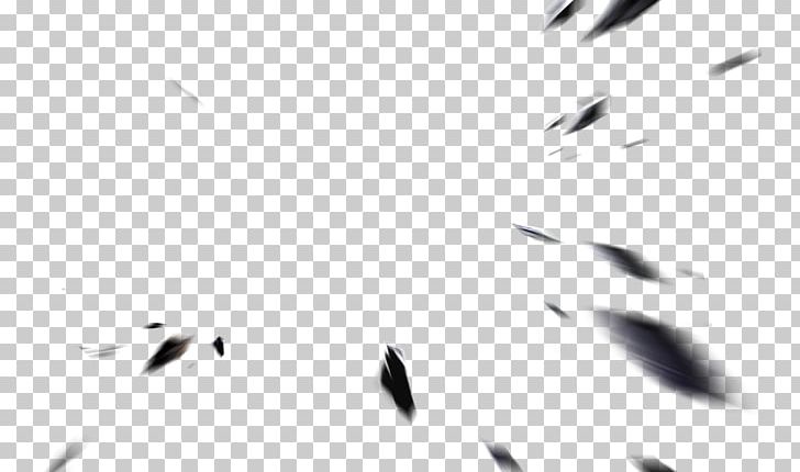 light debris png clipart angle black christmas lights computer wallpaper coreldraw free png download light debris png clipart angle black