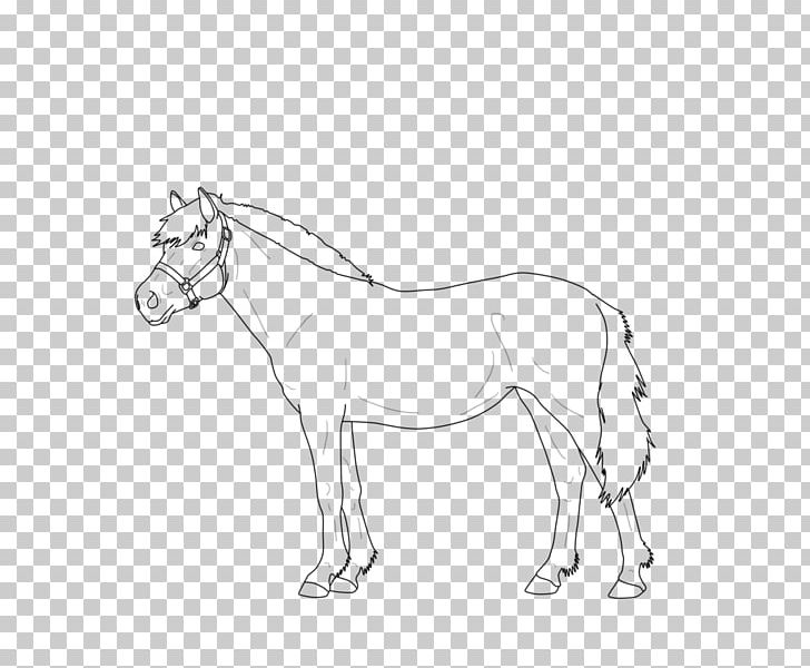 Mule Foal Bridle Stallion Colt PNG, Clipart, Artwork, Black And White, Bridle, Colt, Drawing Free PNG Download