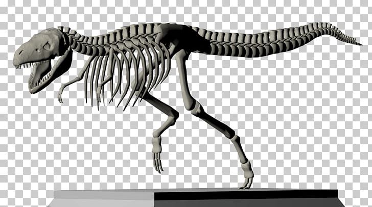 Tyrannosaurus Art Museum PNG, Clipart, 3 D Studio Max, 3d Computer Graphics, Animal, Animal Figure, Art Free PNG Download