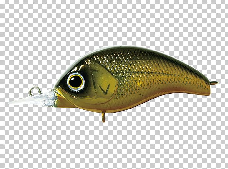 General Motors Spoon Lure Korrigan Rod Fish PNG, Clipart, Bait, Blue Catfish, Fish, Fishing Bait, Fishing Lure Free PNG Download