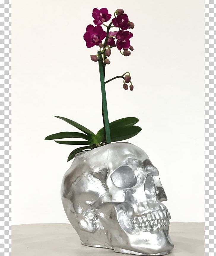 Moth Orchids Vase Cut Flowers Floral Design PNG, Clipart, Artifact, Artificial Flower, Cut Flowers, Floral Design, Flower Free PNG Download