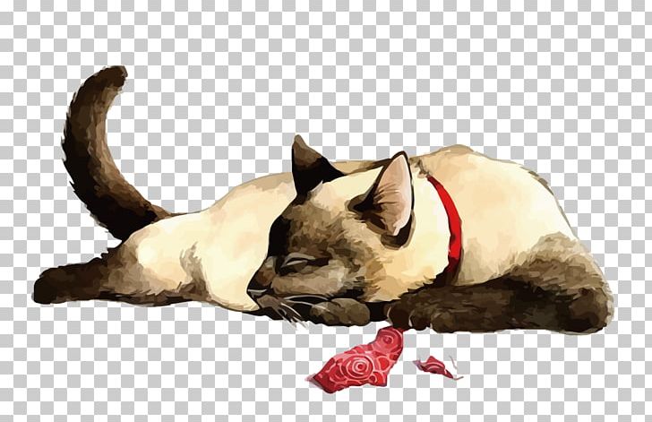 Siamese Cat Kitten Tiger Drawing PNG, Clipart, Animals, Black Cat, Carnivoran, Cat, Cat Ear Free PNG Download