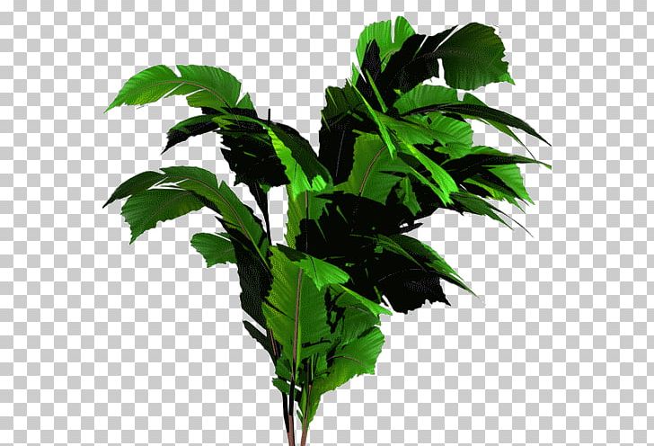 Banana Tree PNG, Clipart, Banana, Banana Leaf, Bonsai, Branch, Cavendish Banana Free PNG Download