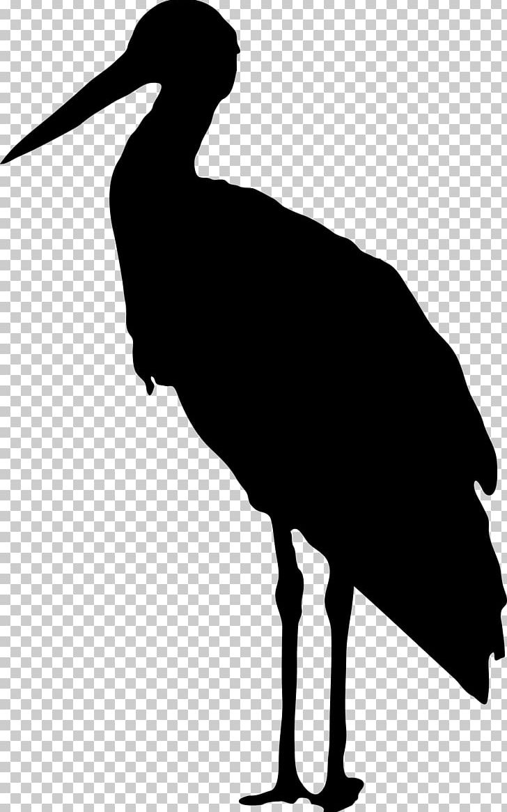 Bird Stork PNG, Clipart, Animals, Beak, Bird, Birds Silhouette, Black And White Free PNG Download