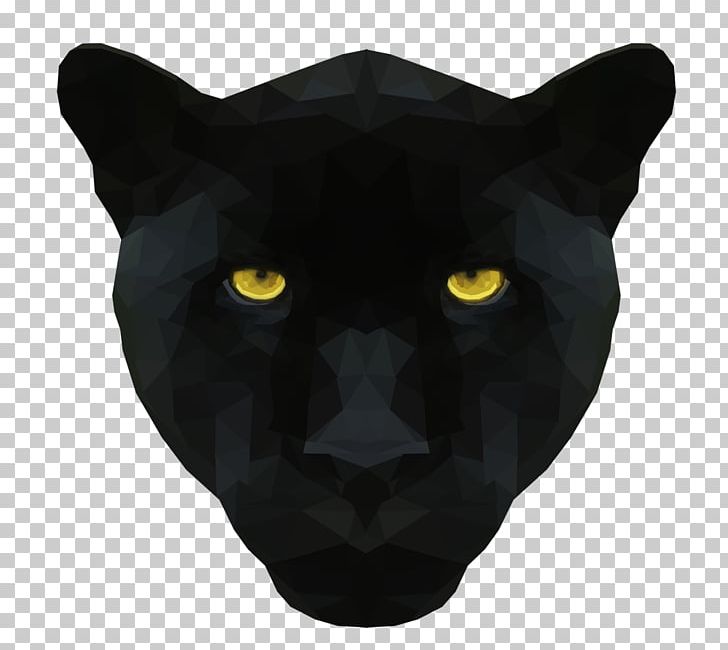 Black Cat Whiskers Snout Puma PNG, Clipart, Animals, Black, Black Cat, Black M, Black Panther Free PNG Download