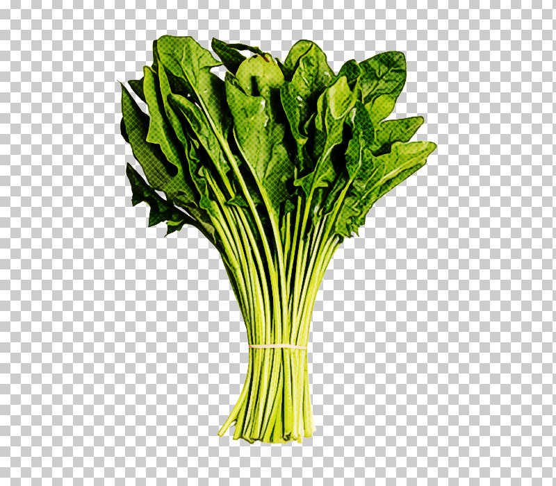Vegetable Leaf Vegetable Choy Sum Plant Food PNG, Clipart, Chinese Cabbage, Choy Sum, Food, Komatsuna, Leaf Free PNG Download