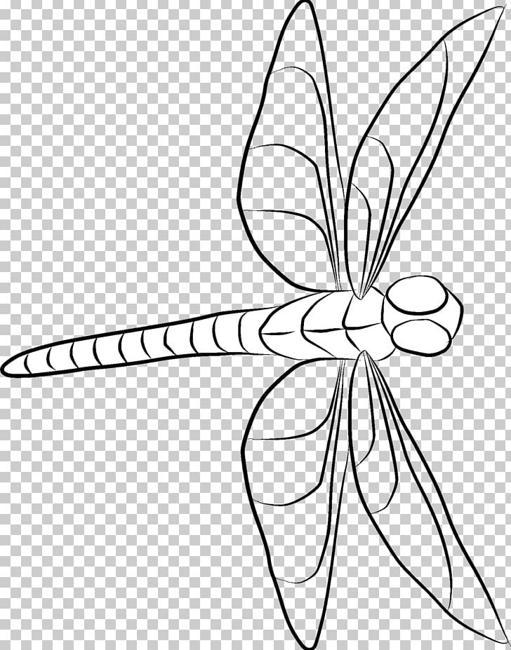 Line Art Drawing Painting PNG, Clipart, Angle, Area, Art, Black And White, Brush Footed Butterfly Free PNG Download