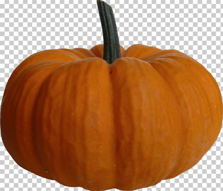 Pumpkin Pie Pumpkin Seed PNG, Clipart, Calabaza, Cucumber Gourd And Melon Family, Cucurbita, Decoration, Desktop Wallpaper Free PNG Download