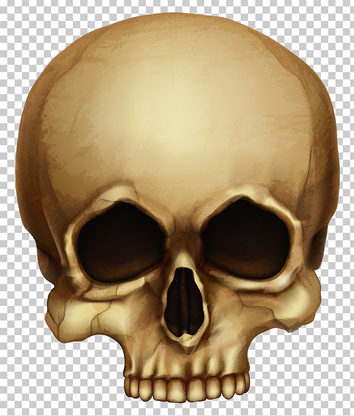 Skull Calavera Halloween Skeleton PNG, Clipart, Bone, Calavera, Clipart, Computer Icons, Digital Image Free PNG Download