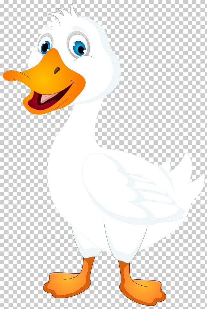 American Pekin Duck Cartoon PNG, Clipart, American Pekin, Animal Figure, Beak, Bird, Cartoon Free PNG Download