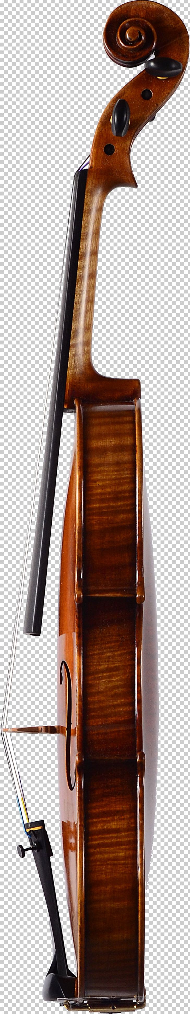Bass Violin Double Bass Violone Viola PNG, Clipart, Bass, Bass Violin, Bowed String Instrument, Cello, Double Bass Free PNG Download