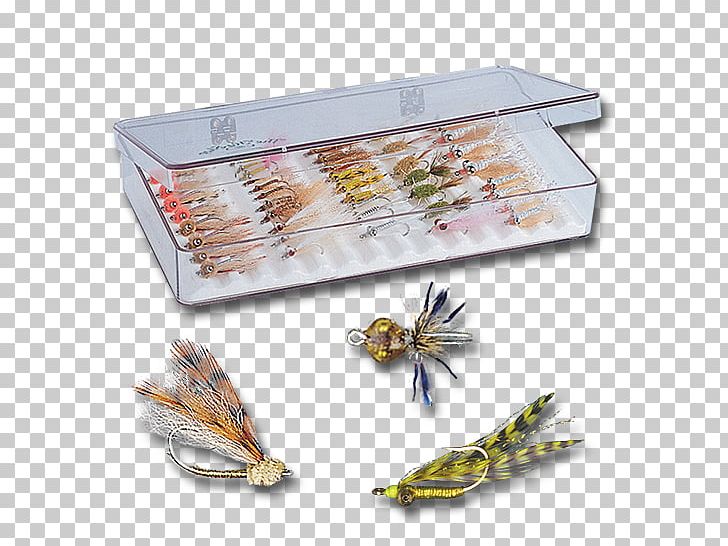 Crazy Charlie Bonefish Grill Fly Food PNG, Clipart, Animal Source Foods, Bitters, Bonefish, Bonefishes, Bonefish Grill Free PNG Download