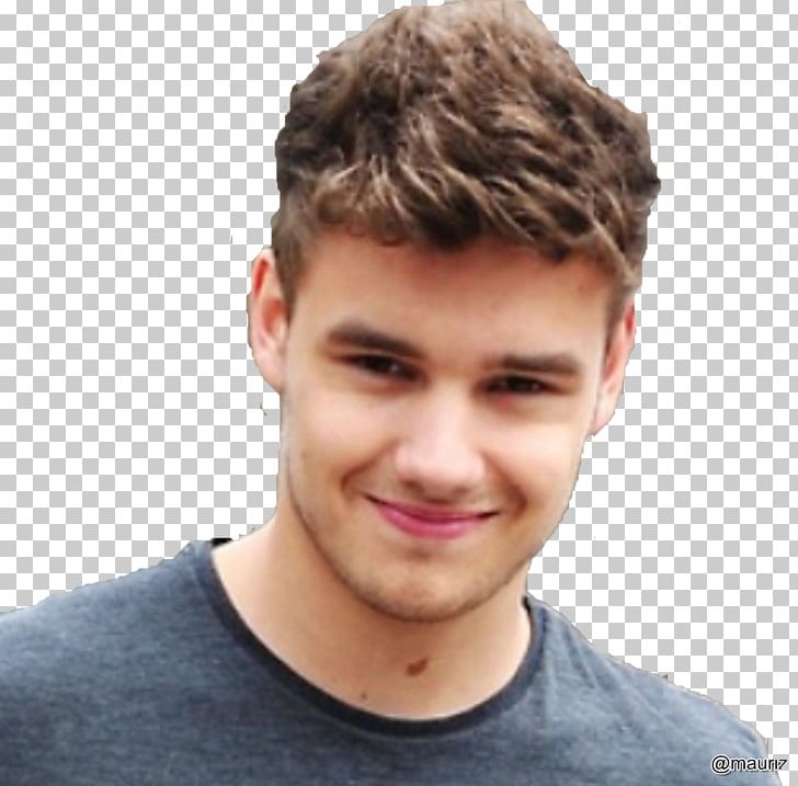 Liam Payne The X Factor One Direction Up All Night Boy Band PNG, Clipart, Boy Band, Cheek, Chin, Forehead, Hair Free PNG Download