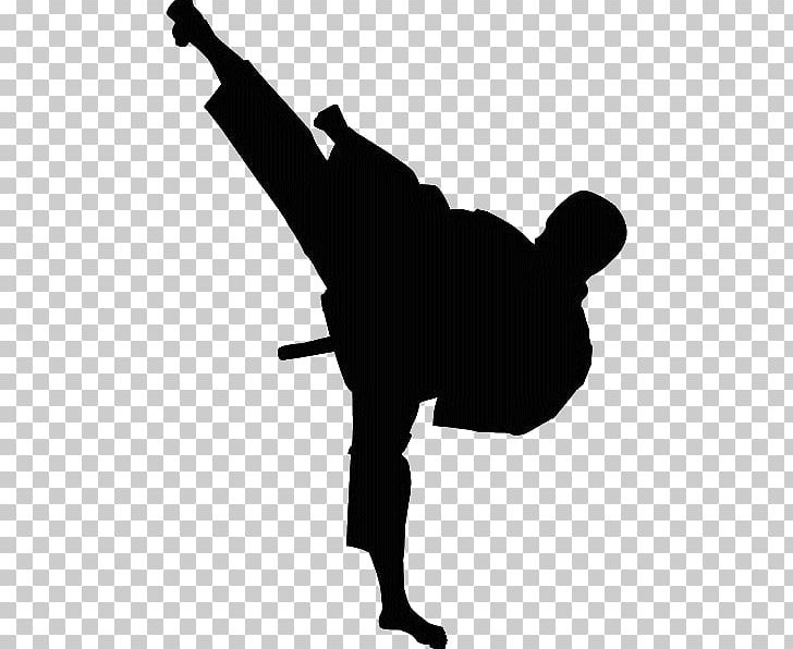 Taekwondo Karate Desktop Shotokan Sport PNG, Clipart, Angle, Black, Black And White, Black Belt, Desktop Wallpaper Free PNG Download