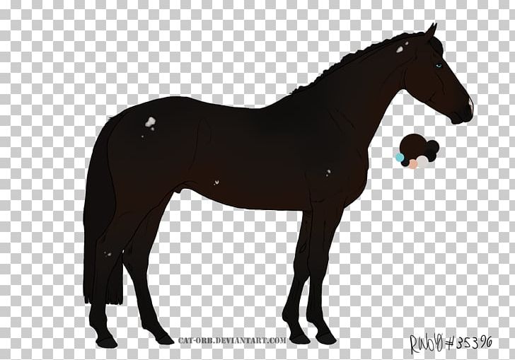 German Shorthaired Pointer Andalusian Horse Knabstrupper Bull Terrier PNG, Clipart, Animal, Animal Figure, Australian Terrier, Breed, Bridle Free PNG Download