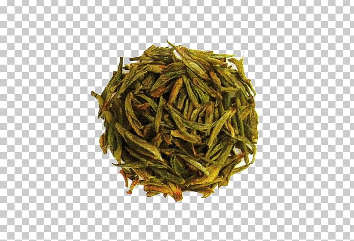 Green Tea White Tea Tieguanyin Oolong PNG, Clipart, Chinese Tea, Fall Leaves, Hojicha, Huangshan Maofeng, Imperial Free PNG Download