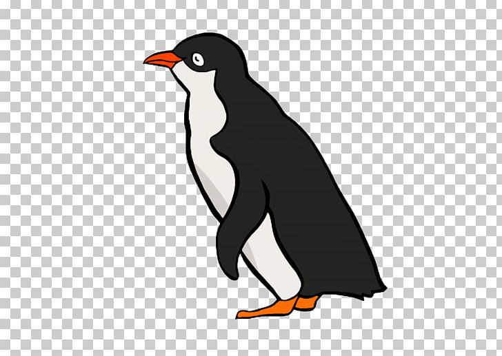 King Penguin Bird Graphics PNG, Clipart, Animal, Animals, Beak, Bird, Drawing Free PNG Download