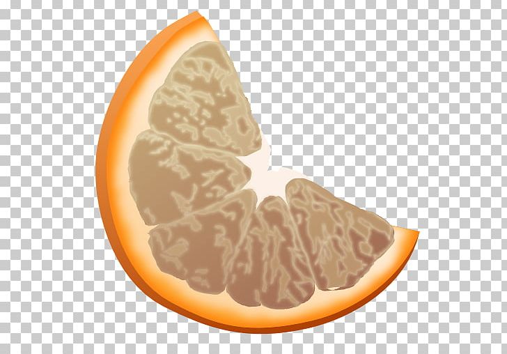 Peach Food Grapefruit PNG, Clipart, Computer Icons, Computer Software, Download, Food, Fruit Free PNG Download
