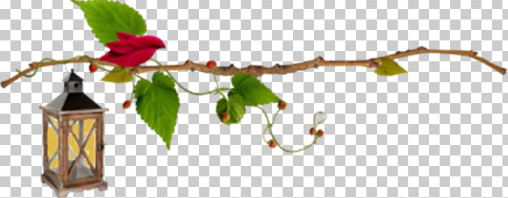 Leaf Branch Others PNG, Clipart, Blog, Branch, Flora, Flower, Internet Free PNG Download