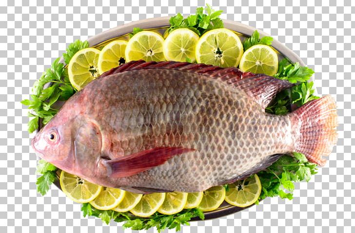 Kipper Iridescent Shark Tilapia Fish Products PNG, Clipart, Animals, Animal Source Foods, Dish, Fillet, Fish Free PNG Download