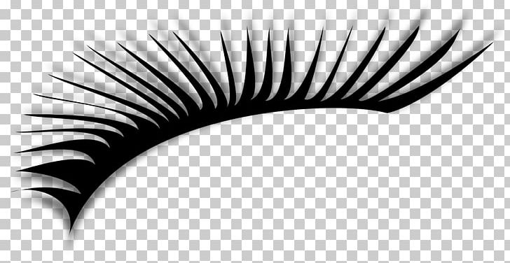 Eyelash Extensions PNG, Clipart, Artificial Hair Integrations, Beauty, Black, Black And White, Computer Icons Free PNG Download
