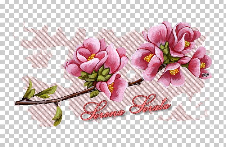 Garden Roses Flower Rosaceae PNG, Clipart, Blog, Blossom, Bud, Buon Giorno, Cherry Blossom Free PNG Download