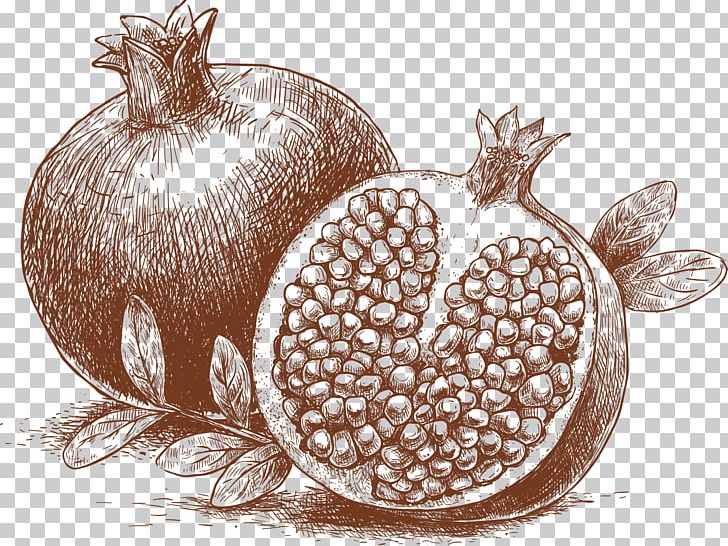 Pomegranate PNG, Clipart, Cartoon, Cartoon Fruit, Cartoon Hand Drawing, Cartoon Pomegranate, Decorative Pattern Free PNG Download