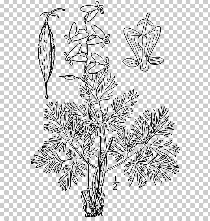 Twig Floral Design Plant Stem Leaf PNG, Clipart, Black And White, Branch, Dicentra Cucullaria, Flora, Floral Design Free PNG Download