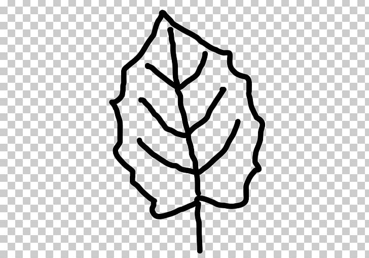 Maple Leaf Tree PNG, Clipart, Artwork, Autumn Leaf Color, Black And White, Branch, Computer Icons Free PNG Download