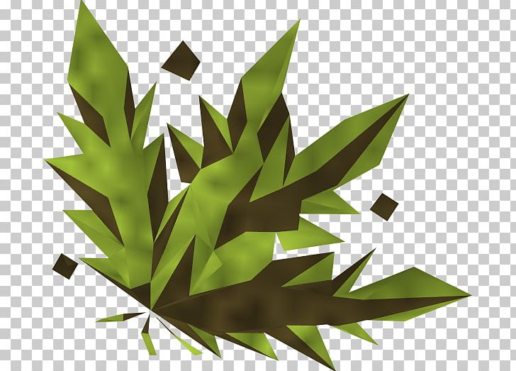 RuneScape Cannabis Wikia PNG, Clipart, Cannabis, Copyright, Desktop Wallpaper, Flora, Grass Free PNG Download