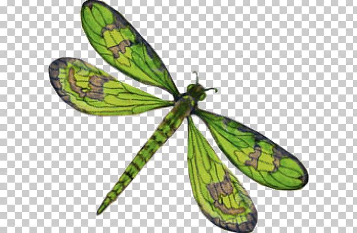 Dragonfly PNG, Clipart, Arthropod, Butterfly, Clip Art, Document, Download Free PNG Download