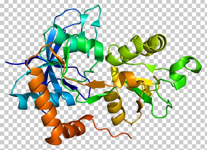 GRIN2A NMDA Receptor N-Methyl-D-aspartic Acid Gene GRIN1 PNG, Clipart, 2 A, 5 S, Antibody, Area, Artwork Free PNG Download