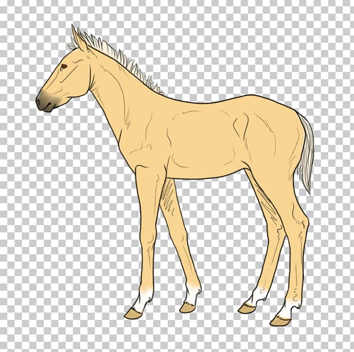 Mule Foal Stallion Mare Mustang PNG, Clipart, Animal Figure, Bridle, Colt, Fauna, Foal Free PNG Download