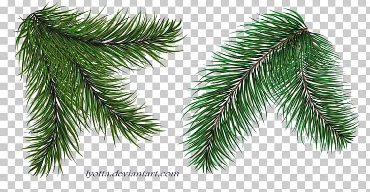 Spruce Twig Christmas Tree Christmas Ornament PNG, Clipart, Balsam Hill, Branch, Christmas, Christmas Decoration, Christmas Ornament Free PNG Download