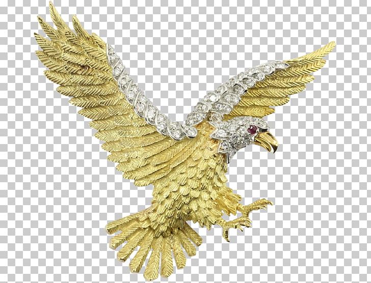 Bald Eagle Jewellery Gold Brooch PNG, Clipart, Accipitriformes, Animals, Bald Eagle, Beak, Bird Free PNG Download