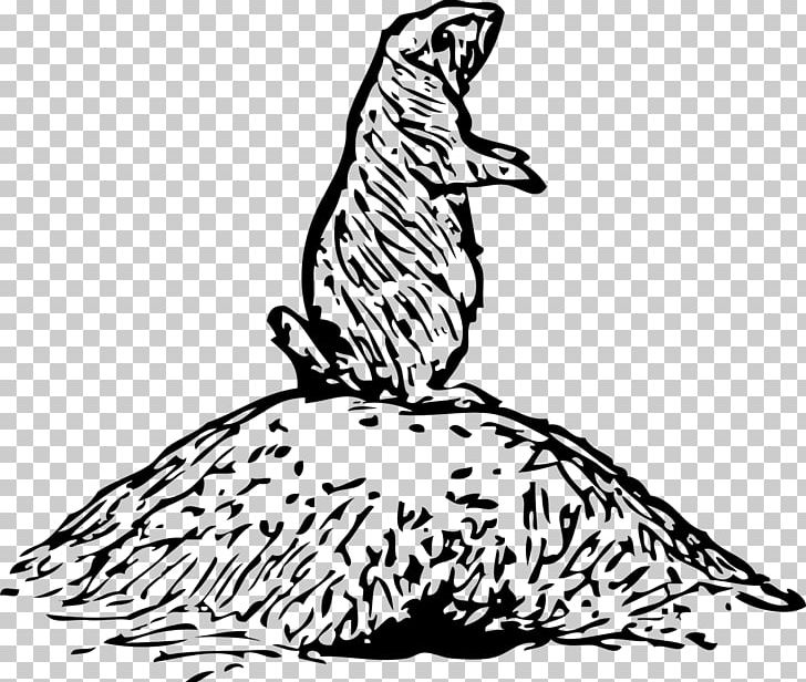 Black-tailed Prairie Dog Squirrel PNG, Clipart, Animal, Animal Figure, Animals, Art, Artwork Free PNG Download