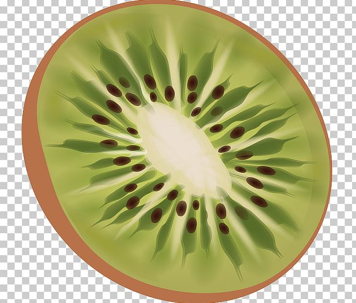 Fruit Salad Kiwifruit T-shirt OpenSUSE PNG, Clipart, Food, Fruit, Fruit Nut, Fruit Salad, Github Free PNG Download