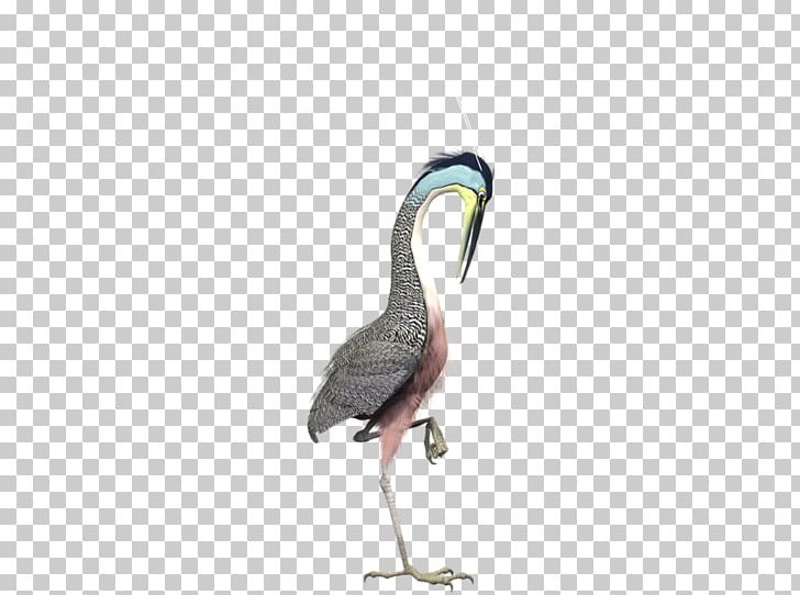 Hautes-Pyrxe9nxe9es Google Daydream Goose Color PNG, Clipart, Animal, Beak, Bird, Color, Crane Free PNG Download