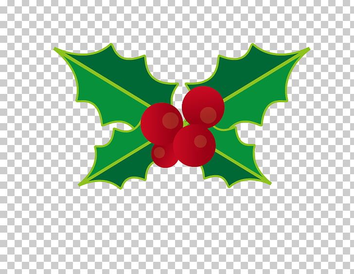 Christmast Decoration PNG, Clipart, Aquifoliaceae, Aquifoliales, Flowering Plant, Fruit, Grapevine Free PNG Download