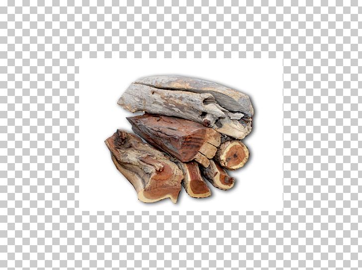 Firewood Wood Drying Lumber Acacia Cyclops PNG, Clipart, Acacia Cyclops, Africa, Animal Source Foods, Clams Oysters Mussels And Scallops, Dichrostachys Cinerea Free PNG Download