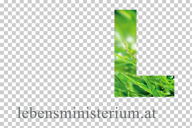 States Of Germany Ministry Of Sustainability And Tourism Bundesministerium PNG, Clipart, Austria, Brand, Bundesminister, Cabinet Of Germany, Environment Free PNG Download