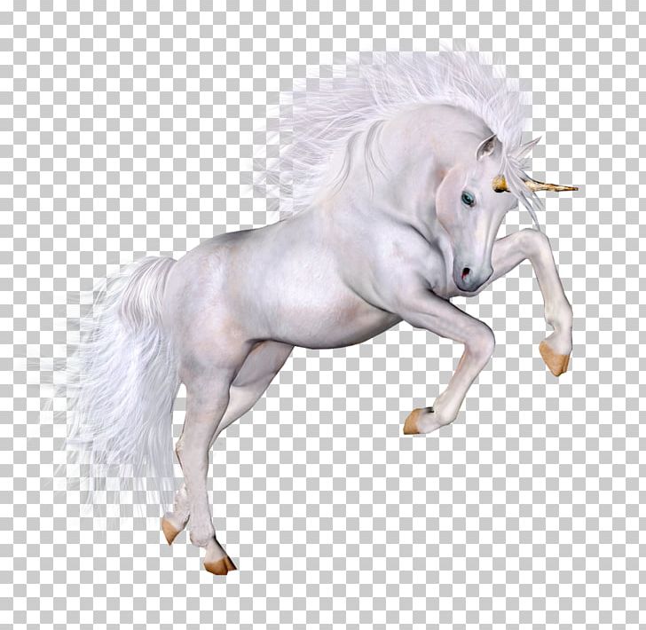 Unicorn PNG, Clipart, Being, Fantasy, Fictional Character, Figurine, Horse Free PNG Download