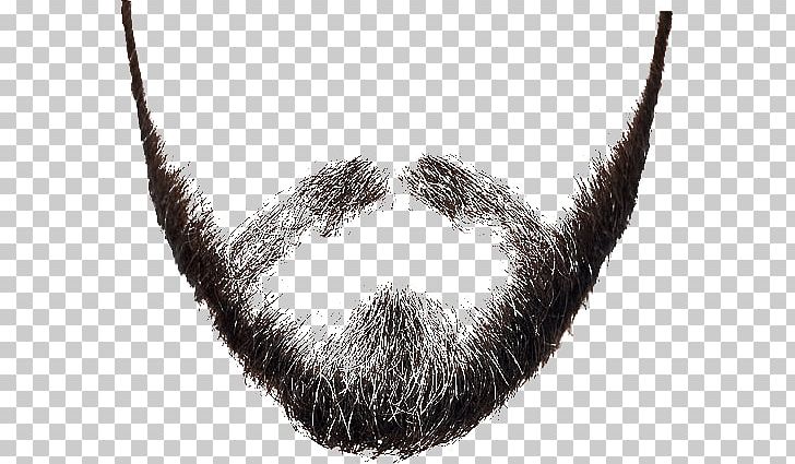 Beard Capelli Woman PNG, Clipart, Barber, Beard, Black And White, Budur, Capelli Free PNG Download