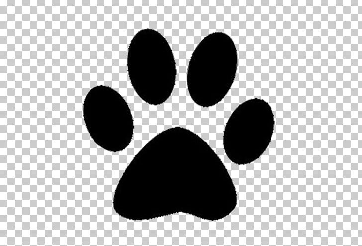 Bulldog Ravenna Foods Cat Pet Sitting Paw PNG, Clipart, Animals, Animal Shelter, Bear, Bear Claw, Bears Free PNG Download
