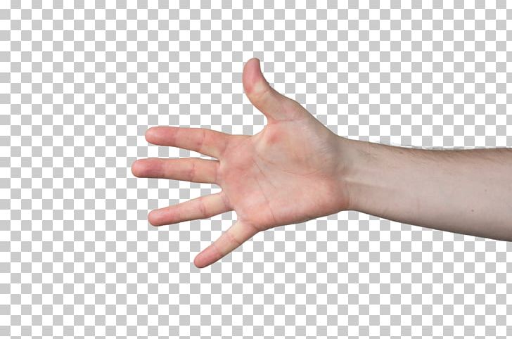 Hand Arm Finger Thumb PNG, Clipart, Arm, Finger, Fist, Hand, Hand Model Free PNG Download