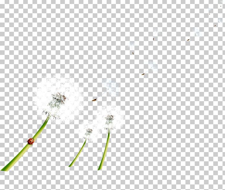 HD Free Flying Dandelion Pull Material PNG, Clipart, Angle, Blue, Circle, Dandelion, Design Free PNG Download