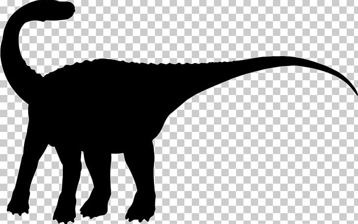 Magyarosaurus Brachiosaurus Compsognathus Citipati Giraffatitan PNG, Clipart, Animal, Black And White, Brachiosaurus, Carnivoran, Cat Free PNG Download
