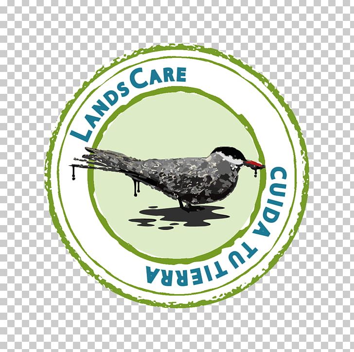 Minskiy Gosudarstvennyy Meditsinskiy Kolledzh Outpatient Clinic Medicine Polyclinic No.12 Hospital PNG, Clipart, Beak, Bird, Brand, College, Fauna Free PNG Download