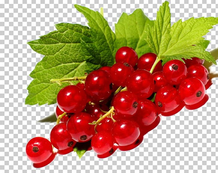 Redcurrant Blackcurrant Berry Fruit Price PNG, Clipart, Berry, Blackberry, Boysenberry, Cherry, Cra Free PNG Download