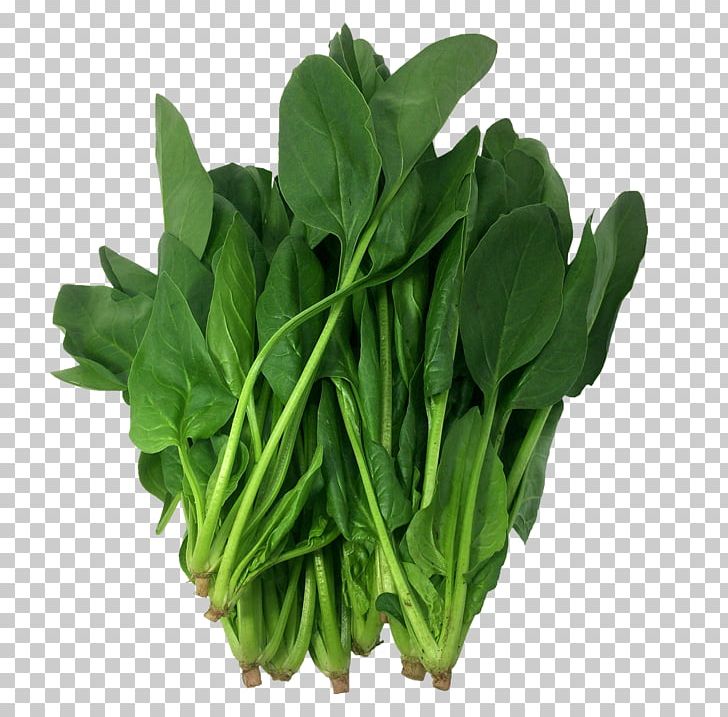 Spinach Komatsuna Food Vegetable Collard Greens PNG, Clipart, 13 Years, Business, Chinese Broccoli, Choy Sum, Cob Free PNG Download